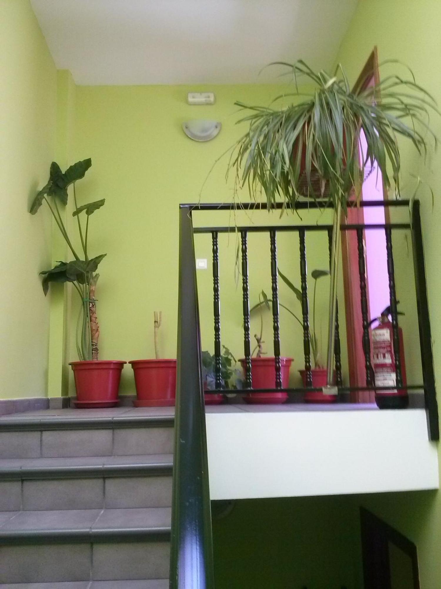 Hostal Ciudad De Nájera Cameră foto